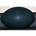 Emu Egg